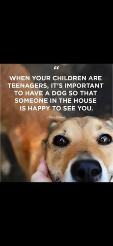 Screenshot_20240508_200500_Gallery