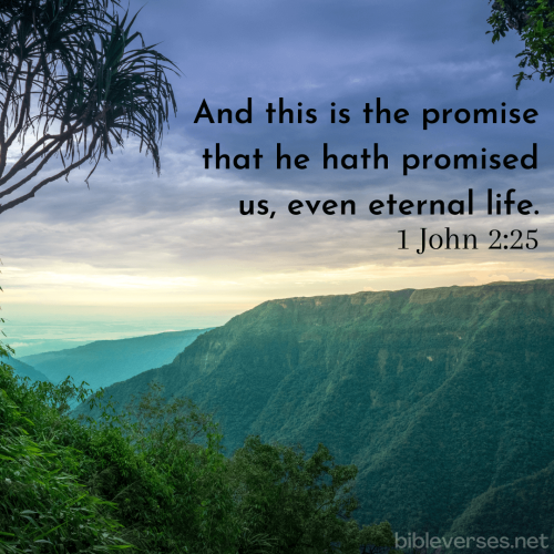 FAITH - 1 John 2.25 KJV