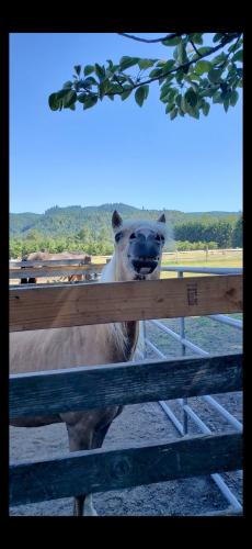 Screenshot_20240527_193636_Photos