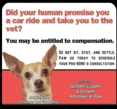 FB_IMG_1715756127194