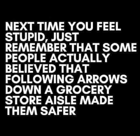 image_2024-05-27_115019596