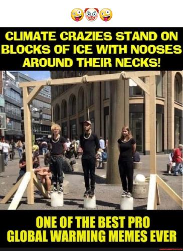 229d388c604587dcbdcd569378eea33e1bef61a2e2cf9778528a7a579b169e8d_1