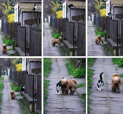 17:49:52 GMT-0500 (CDT)