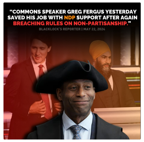 greg fergus