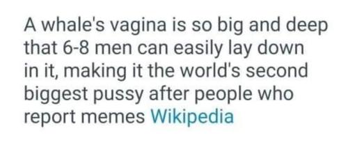 image_596CC5F5-E5C7-430E-A846-028168A37586