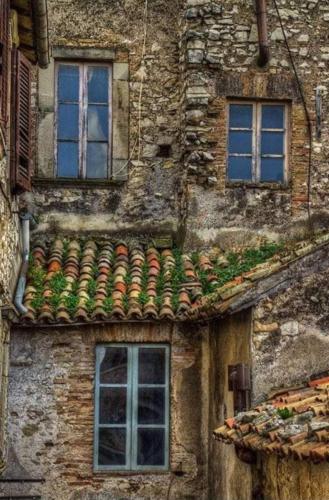 img-c8b33835