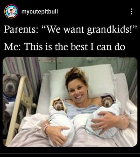 Screenshot_20240506_191244_Instagram