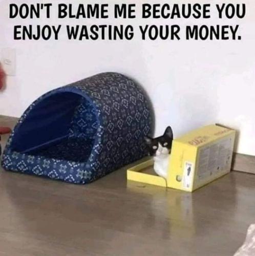 dont-blame-because-enjoy-wasting-money