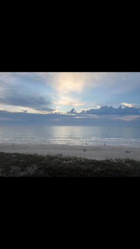 8016CD2F-050B-40A0-A4F2-568EB9BD9413