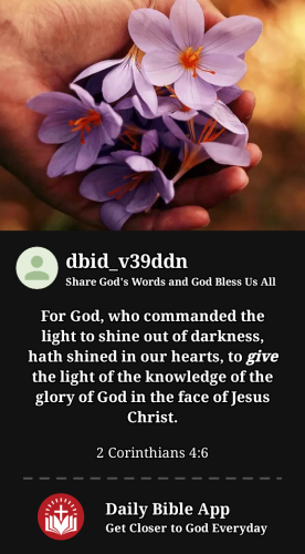 2024-05-261716770518528