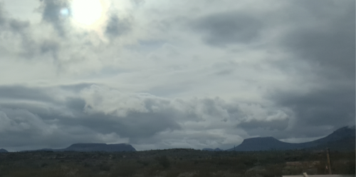 Screenshot_20240520-153659