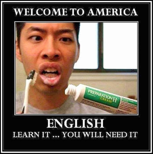 image_2024-05-24_061813839