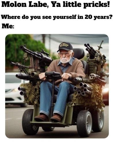 Where do you see yourself in 20 years assault wheelchair