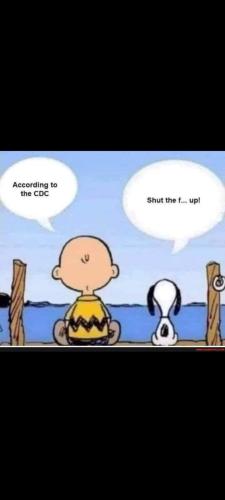 Screenshot_20230614-111321_Gallery