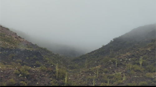 Screenshot_20240520-154235