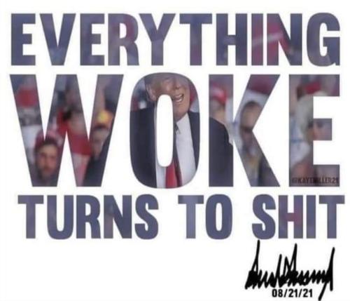 FB_IMG_1715827011584