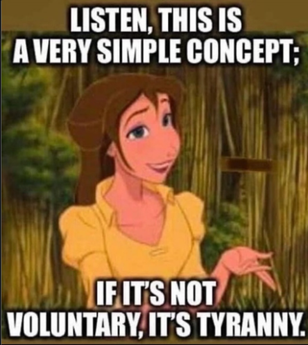 Screenshot 2024-05-23 080700