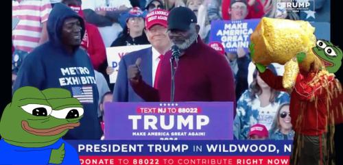 WALKAWAY LAURENCE TAYLOR