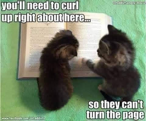 441057362_867722125367288_1924010135283537103_n