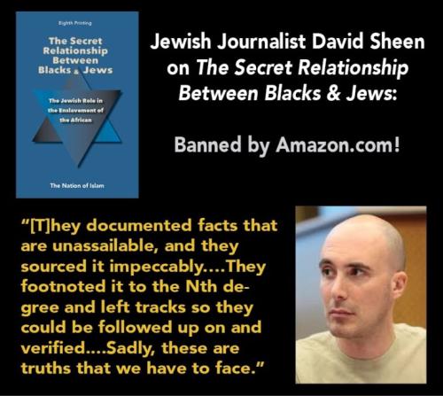 DavidSheenonTSR-768x687-1