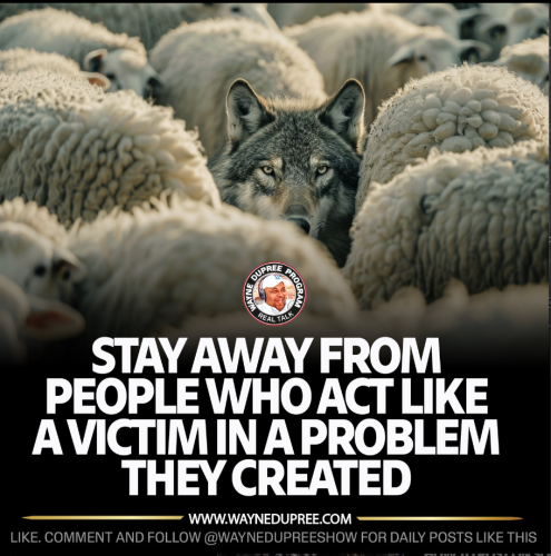 Screenshot 2024-05-20 081611