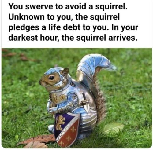 20240510_215011