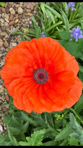 525C0D0A-140B-4AAE-8283-DEABBCDF62CC