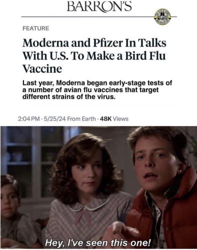 photo_2024-05-28_08-55-06