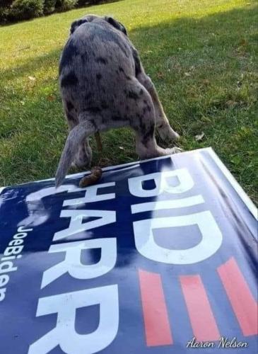 FB_IMG_1715710603617