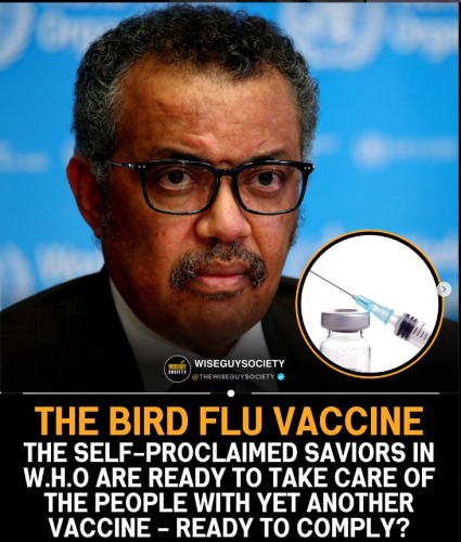 Screenshot 2024-05-06 115826