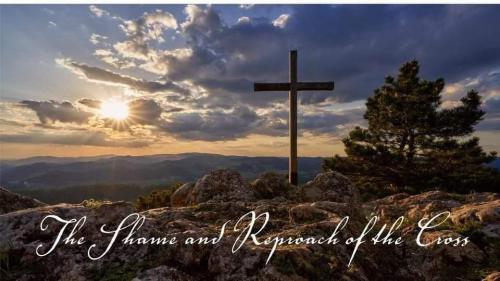 26079e12-003b-4ef1-875c-298116be9555