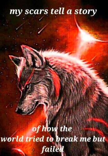 443717605_1806637609804518_3443192911963995805_n