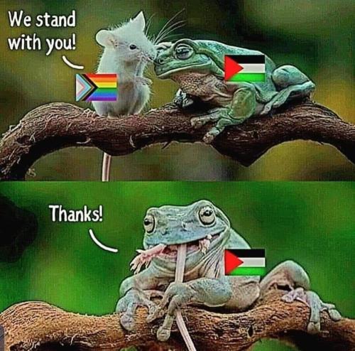 we stand with you