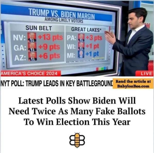 image_2024-05-27_103156679