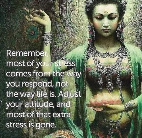 ,                              ,    ,