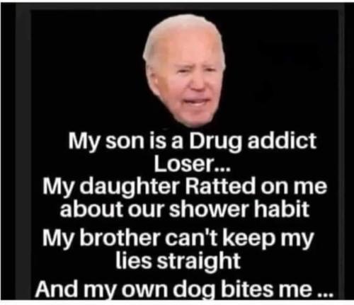 442415400_3827165060903696_93014641775418619_n