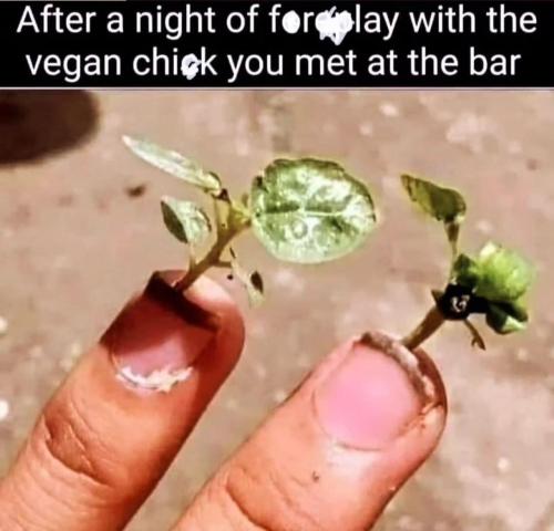 image_8A1121B5-278F-44F1-ACE2-B9FAEFC3850A