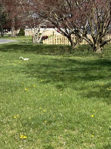 79E85929-2C0E-41CF-B7E8-EFC66AA6A355-3272-0000022193825C1B