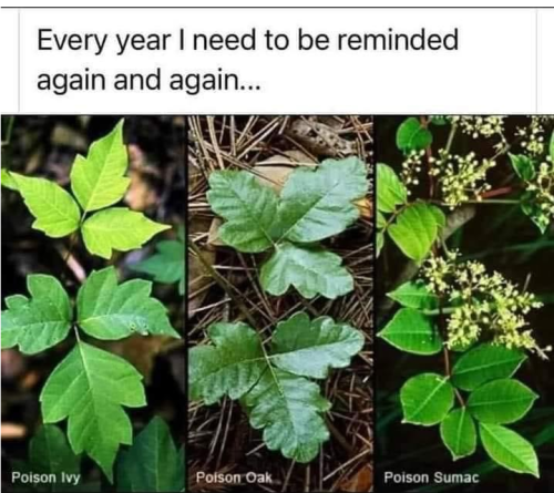 Screenshot_2024-05-04-11-46-17_kindlephoto-5450776