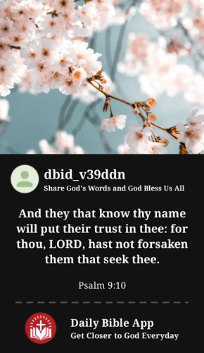 2024-05-041714878850971