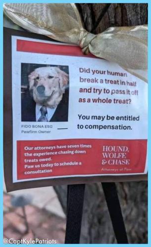 IMG_20240502_070220_526