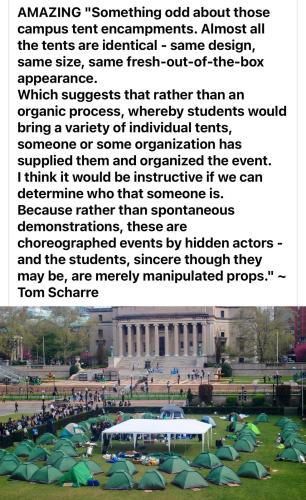 xephula_8173c65c549098ba3f8982cb7db82d1c