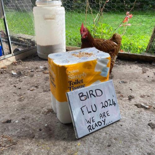 IMG_20240527_213450_372