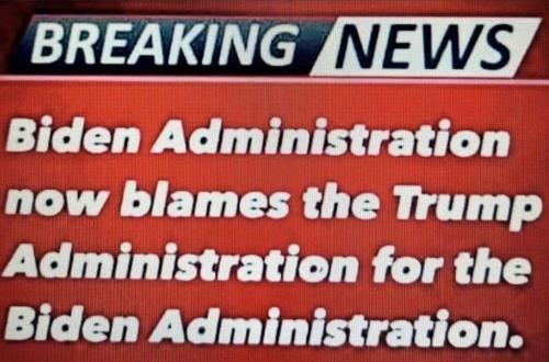 d442091a-b0d2-48bb-aee5-802538cf1d1e