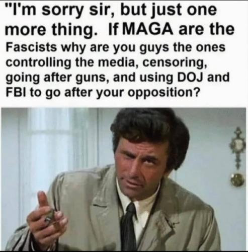 ALWAYS ACCUSE THE RIGHT WHAT THE LEFT