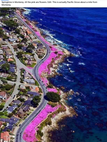 Screenshot_2024-05-21-20-24-58_kindlephoto-177507113