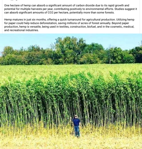 Screenshot_2024-05-22-00-31-42_kindlephoto-172549573