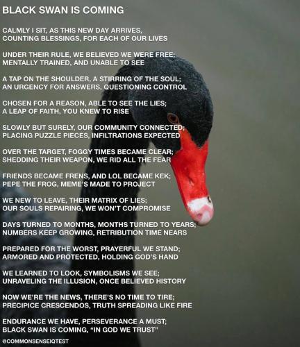 IMG_20240518_205132_694