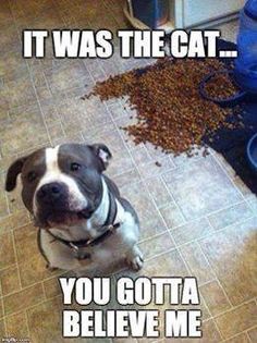 ece4616ca1849cde4625a3ec26d4b312