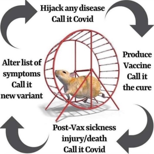 Image 11-02-2024 at 01.59